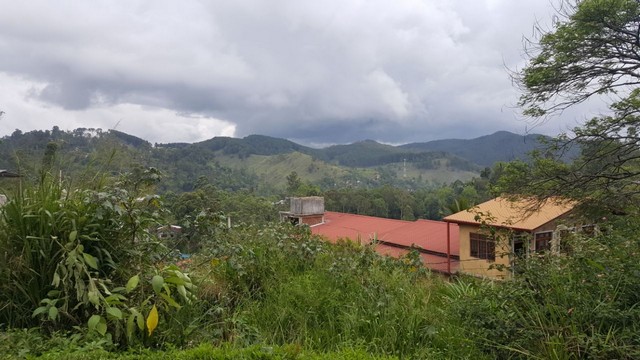 Ceylon Jalaya