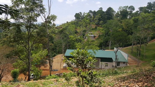 natural greenery